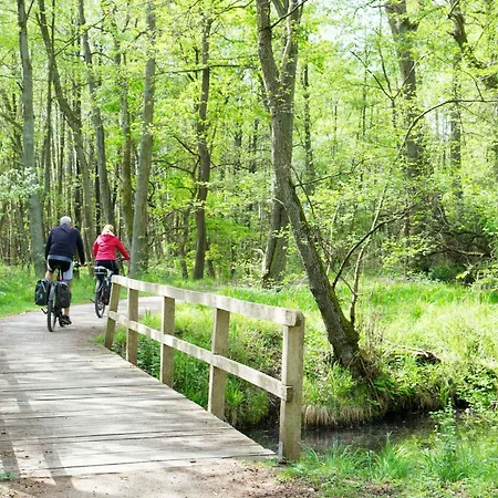 Hébergement de vacances Charlotta Mit Terrasse *